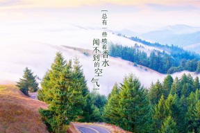 爱游戏ayx官网-从挫败到荣耀：逆境中的车手奋斗史