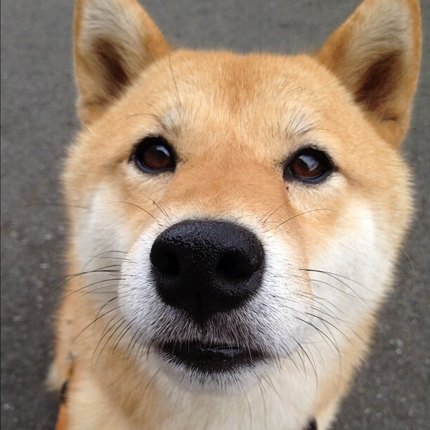 _费德勒宣布退役,网坛传奇告别赛场_,费德勒退出2020赛季 新闻