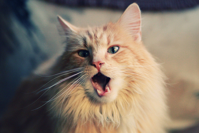 俱乐部财务透明度不断提升，行业健康发展，俱乐部财务管理制度